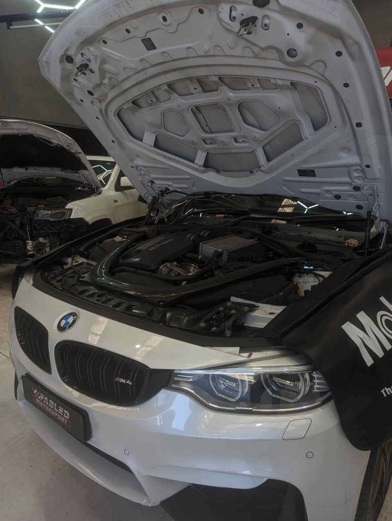 Bmw white